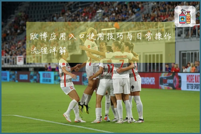 欧博应用入口使用技巧与日常操作流程详解