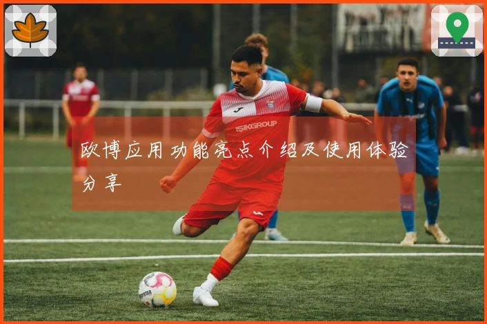 欧博应用功能亮点介绍及使用体验分享