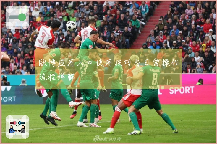 欧博应用入口使用技巧与日常操作流程详解
