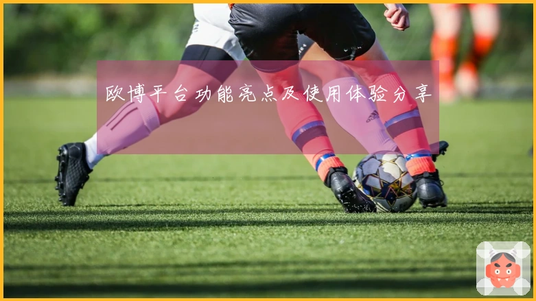 欧博平台功能亮点及使用体验分享